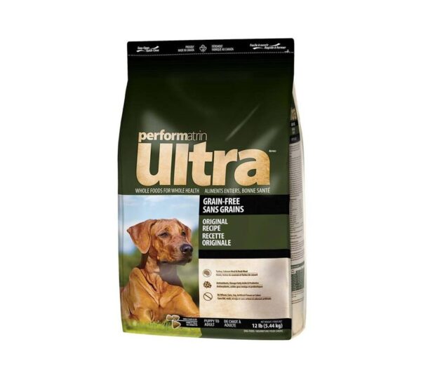 Large Breed Adult Dog Food